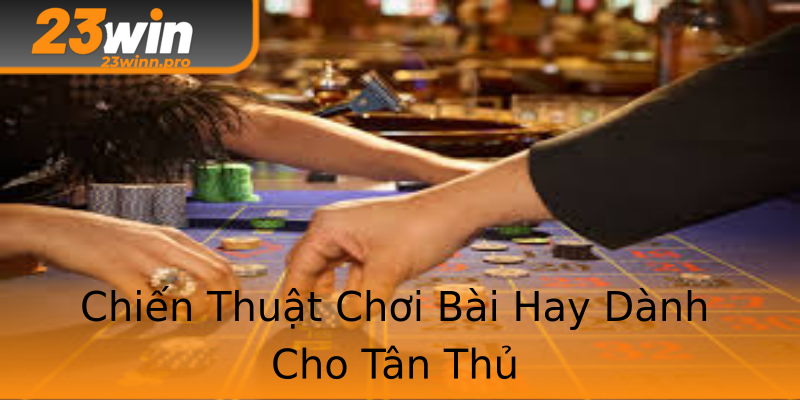 Chiến Thuật Chơi Bài Hay Dành Cho Tân Thủ