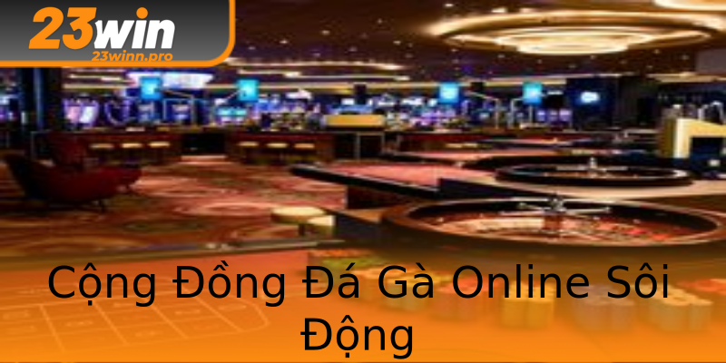 Cộng Đồng Đá Gà Online Sôi Động