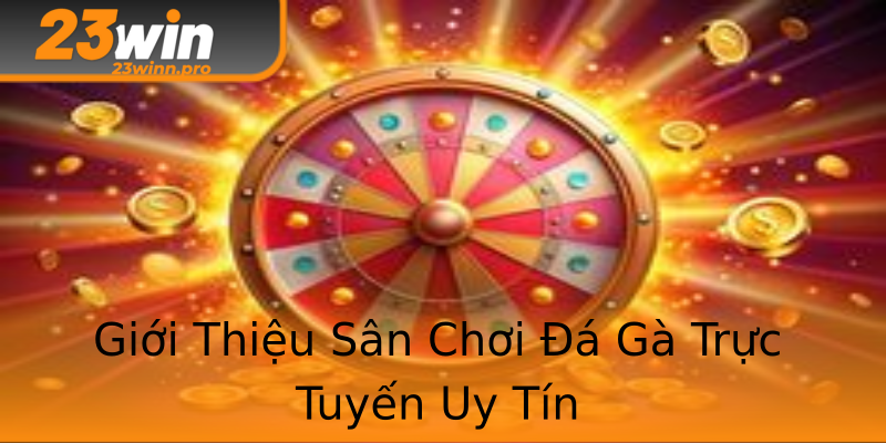 Giới Thiệu Sân Chơi Đá Gà Trực Tuyến Uy Tín