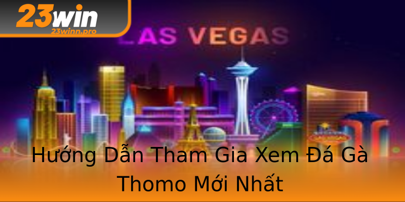 Hướng Dẫn Tham Gia Xem Đá Gà Thomo Mới Nhất