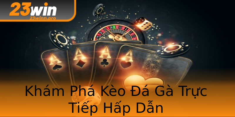 Khám Phá Kèo Đá Gà Trực Tiếp Hấp Dẫn