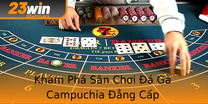 Khám Phá Sân Chơi Đá Gà Campuchia Đẳng Cấp